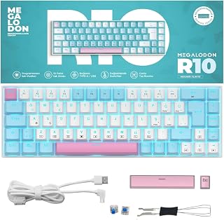 R10 Mekanik Klavye Full Anti-Ghosting Hot Swap Blue Switch Oyuncu Klavyesi (Türkçe) Buz Mavisi Işık
