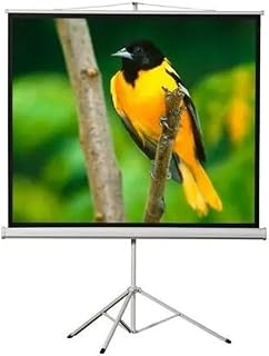 Peak T120 240×200(120inch) Tripod Projeksiyon Perdesi — %35 İndirim | Amazon TR Fırsatı