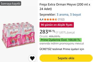 Freşa Extra Orman Meyve (200 ml x 24 adet)