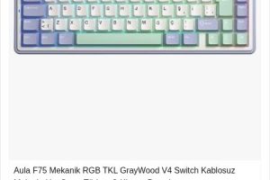Aula F75 Bej RGB %75 TKL GrayWood V4 Switch Kablolu/Kablosuz Mekanik Oyuncu Klavyesi
