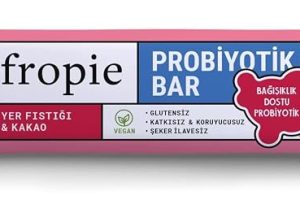 🚨 Fropie Probiyotik Bar – Fıstık & Kakao — %50 İndirim