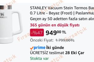 Stanley Vacuum Stein 0.7 Litre Termos Bardak