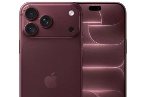 18 Pro Max 256GB Burgonya
