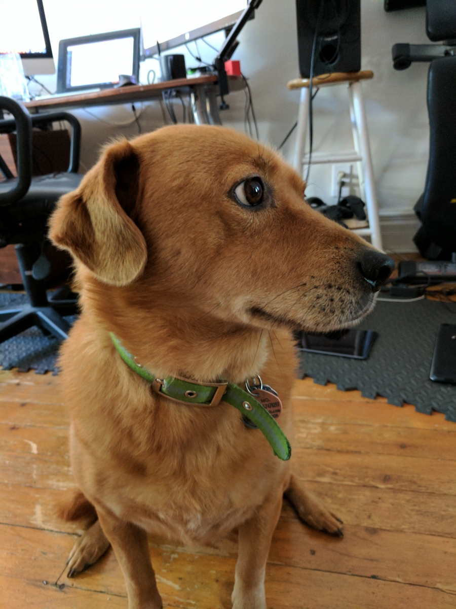 Google-Pixel-Örnek-iç-1