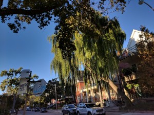 Google-Pixel-Örnek-4